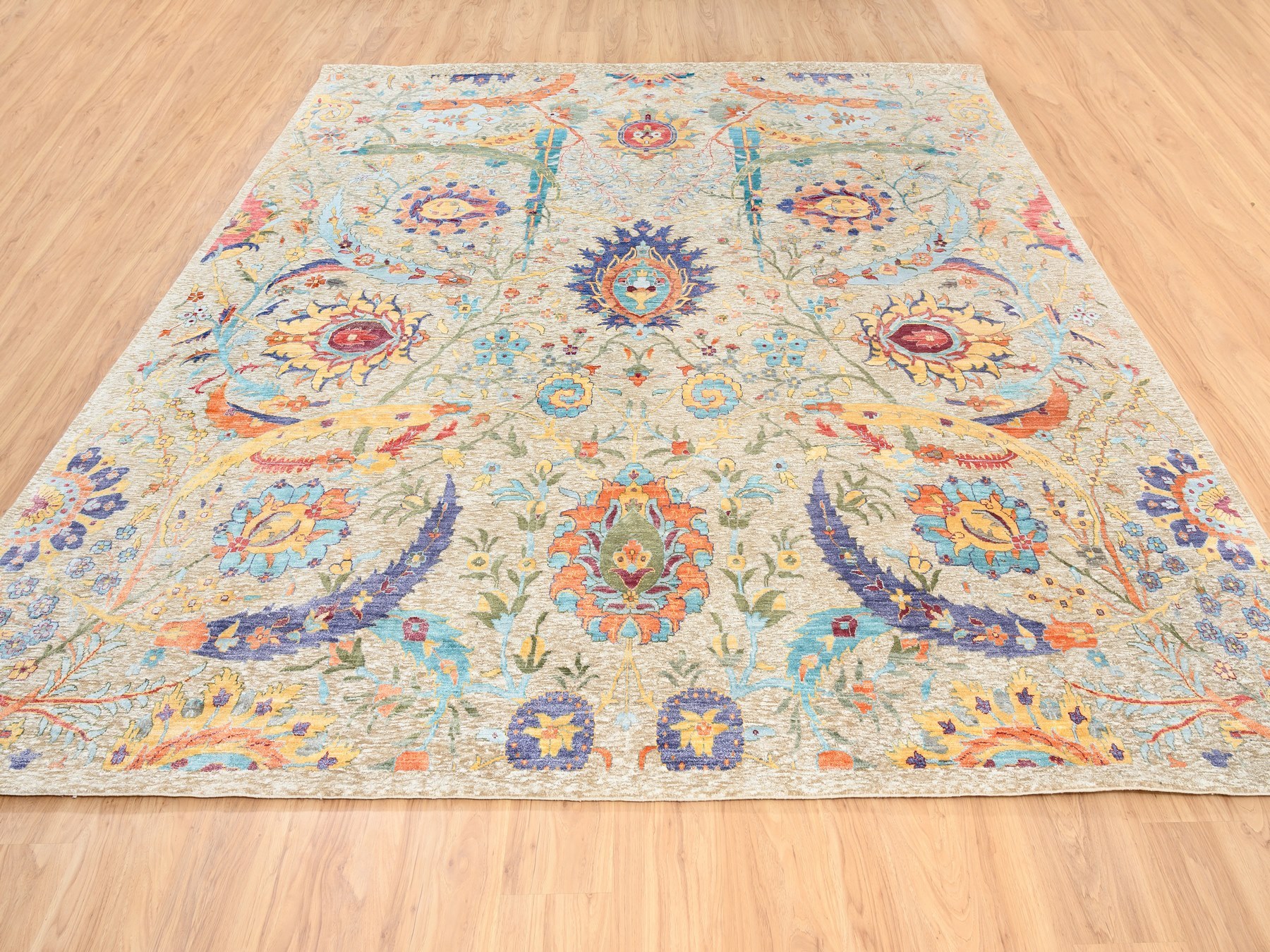 TransitionalRugs ORC560493